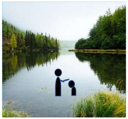 Water, Trees, Wilderness, River, Outdoor