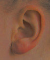 Ear