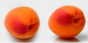 Apricots
