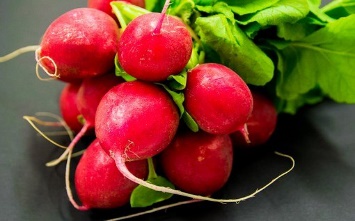 Radishes, Vegetables, Food, Organic, Raw
