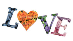 the word LOVE