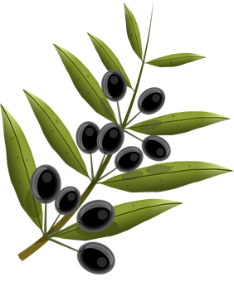 Olives, Fruits, Olive Tree, Oil, Kitchen